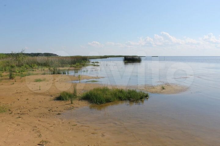 Участок 22 сот. (ИЖС)