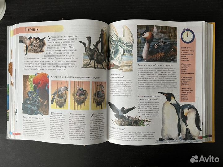 Энциклопедия 