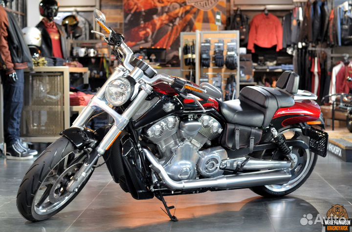 Harley-Davidson V-Rod Muscle
