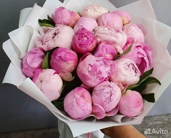 Пионы Гортензия Доставка Цветов