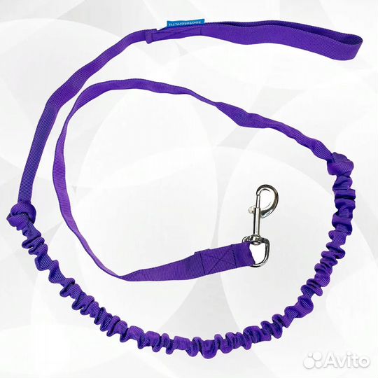 Набор для каникросса (Пояс+потяг+шлейка)