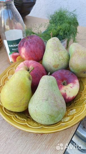 Груши