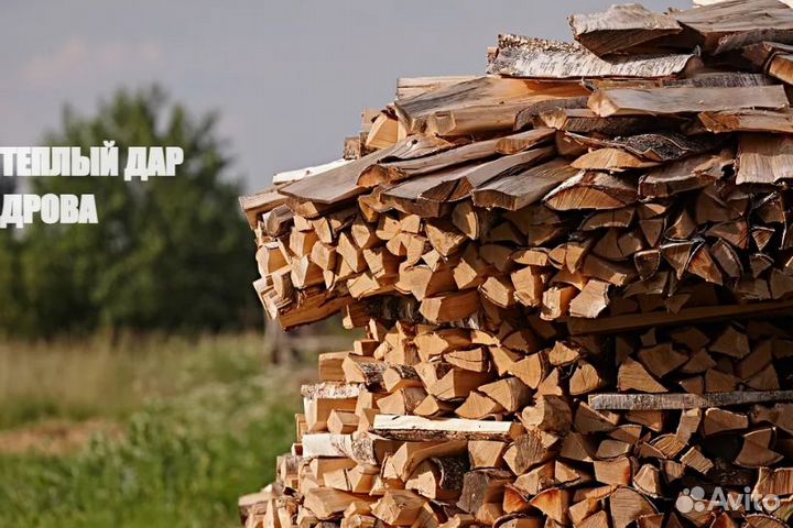 Дрова осиновые