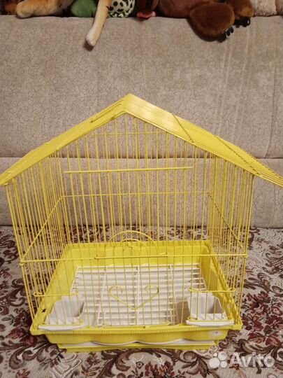 Попугаи с клеткой