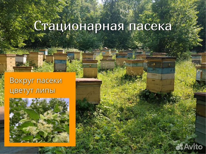 Мед бесплатная доставка