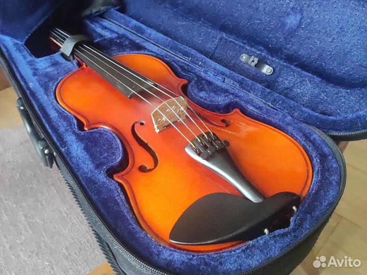 Скрипка 1/2