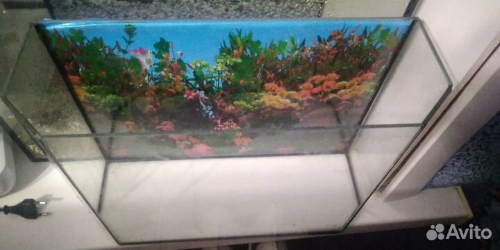 Аквариум