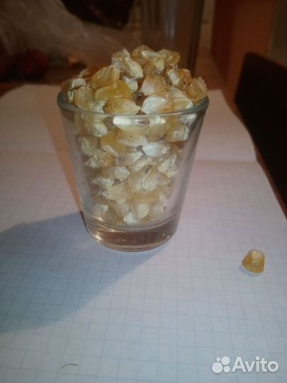 Семена свеклы столовой и кормовой, моркови