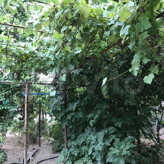 Дом 190 м² на участке 4,3 сот.