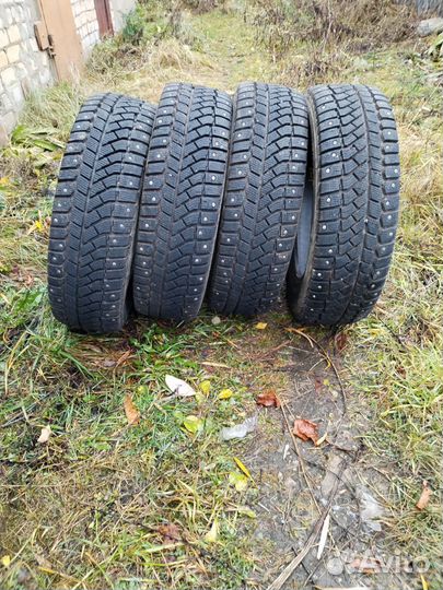 Viatti Brina Nordico V-522 195/65 R15