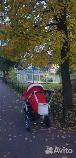 Коляска adamex 3 в 1 Gloria