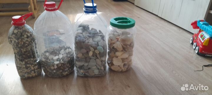 Галька и ракушки