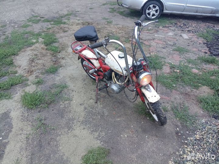 Рига мини 30