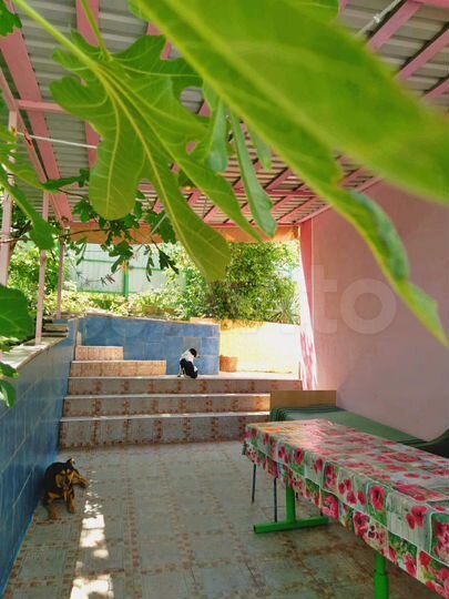 Дом 206 м² на участке 6 сот.