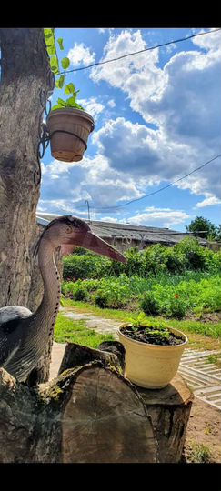 Дом 75 м² на участке 30 сот.