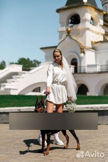 Фотосессия с доберманом