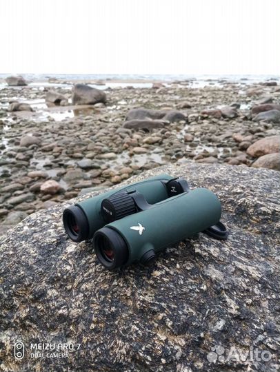 Бинокль swarovski EL SV 8.5X42