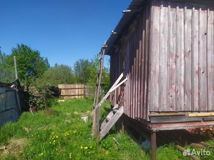 Апидомик с пчелами под ключ, пчелы, пасека