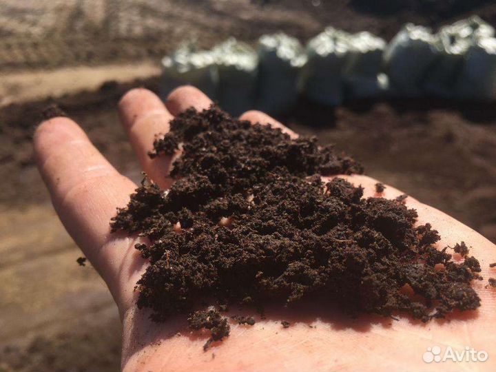 Земля чернозем