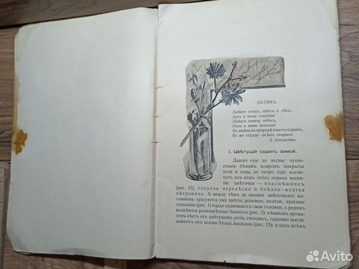 Старинная книга 1913г. Детская. У нас свой садик