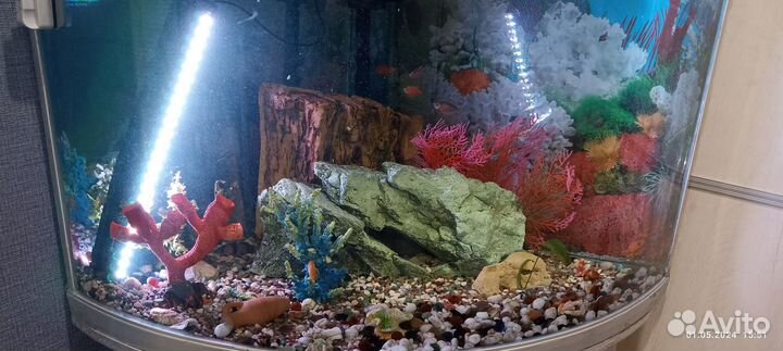 Аквариум угловой с тумбой