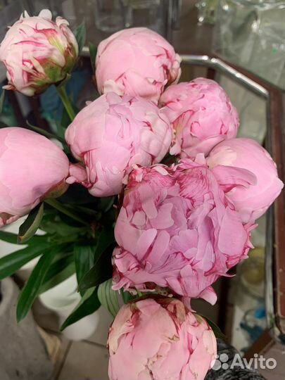 Букеты из пионов