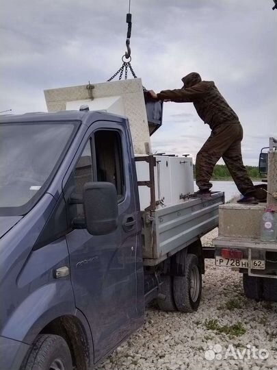 Продается живой карп