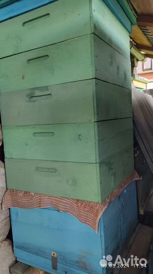 Улья, дадан для пчел