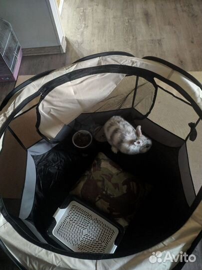 Вольер-манеж для животных