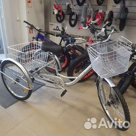 Трехколесные велосипеды ИЖ-БАЙК для взрослых - купить в интернет-магазине c доставкой