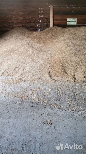 Продам зерно овёс и ячмень