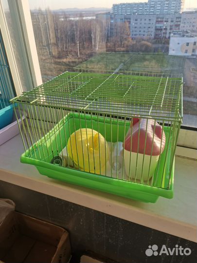 Клетки для грызунов бу
