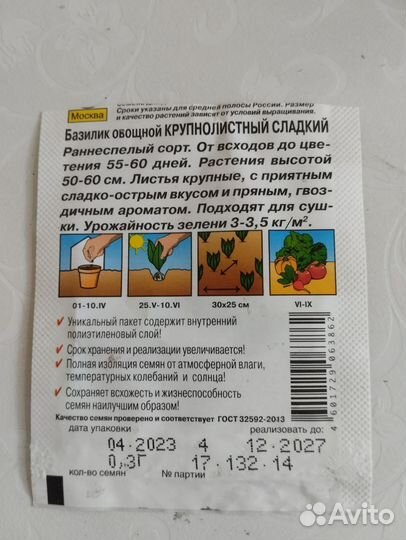 Рассада базилик