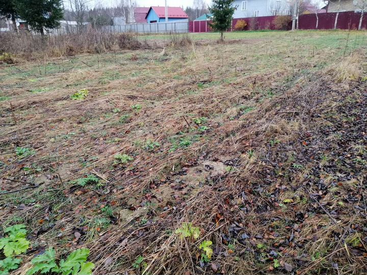 Участок 8 сот. (СНТ, ДНП)