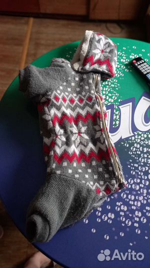 Дождевик для маленькой собаки