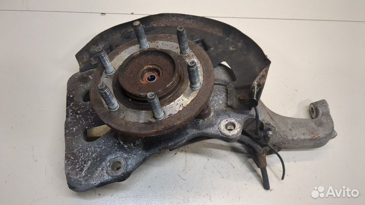 Ступица (кулак, цапфа) Ford Expedition, 2003