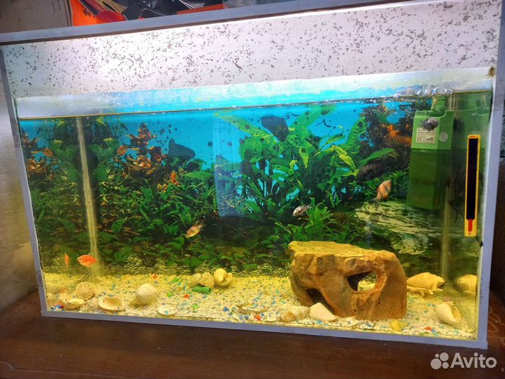 Аквариум