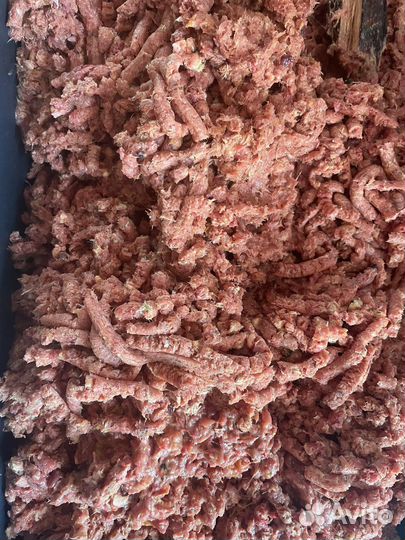 Фарш из суточных цыплят/мясо для собак/кошек