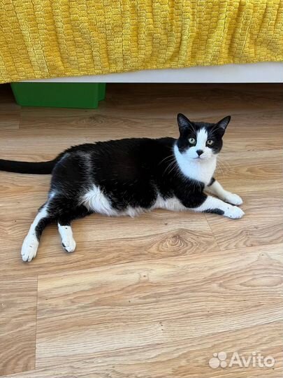 Уход за животными с проживанием