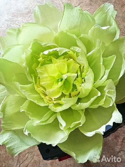 Цветы из гофрированной бумаги