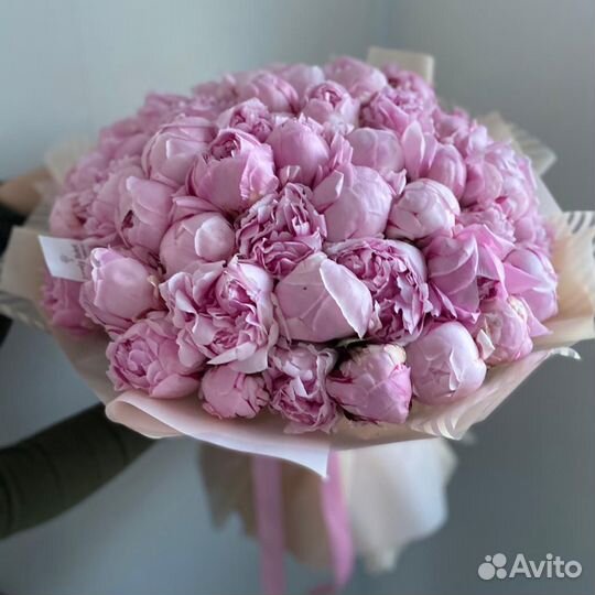 Розовые пионы Сара бернар