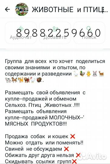 Животные и птицы