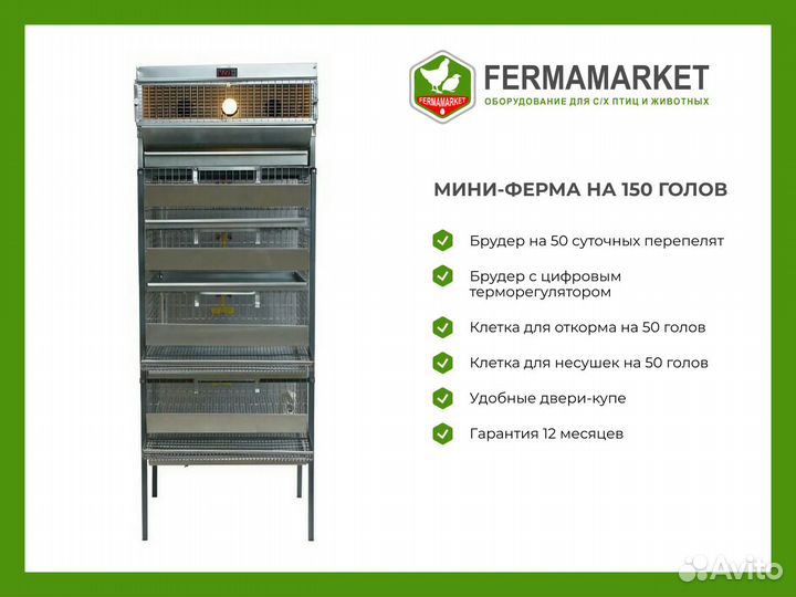 Клетки для перепелов Новосемейкино