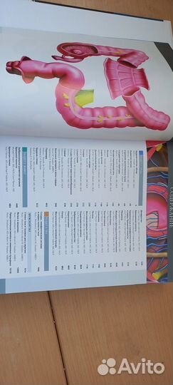 Лучевая анатомия, Грудь.Живот.Таз.Федерле