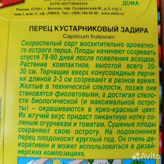 Комнатные растения