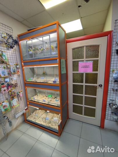 Оборудование для зоомагазина стойка для птиц