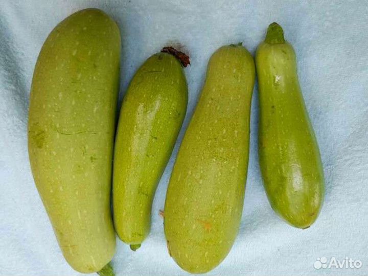 Огурцы, помидоры