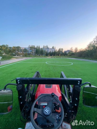 Трава в рулонах, газон