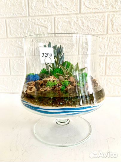 Флорариум в форме 