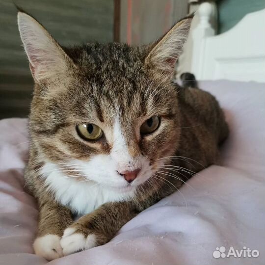 Сеню никто не замечает